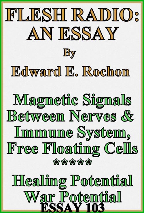 Cover of the book Flesh Radio: An Essay by Edward E. Rochon, Edward E. Rochon