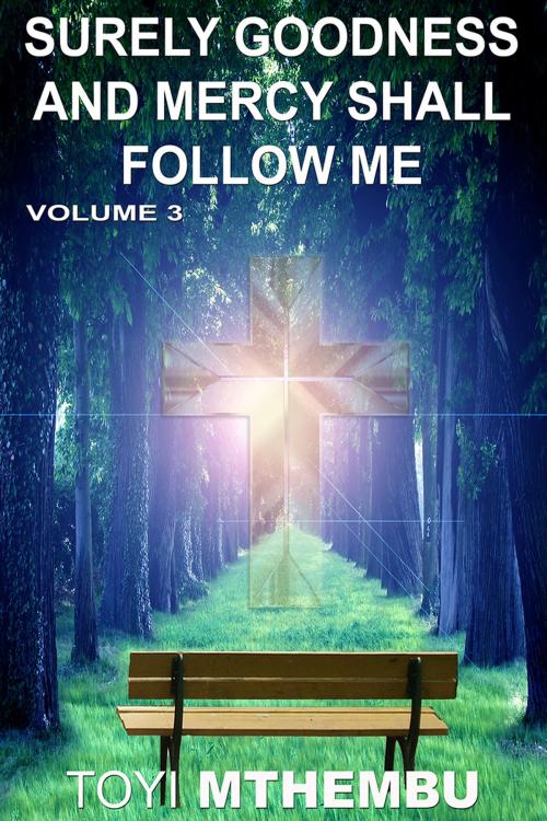 Cover of the book Surely Goodness And Mercy Shall Follow Me Vol. 3 by Toyi Mthembu, Toyi Mthembu