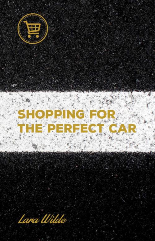 Cover of the book Shopping for the Perfect Car by Lara Wilde, Lara Wilde