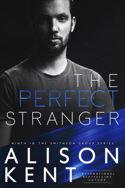 Cover of the book The Perfect Stranger by Alison Kent, Rocks and Ink