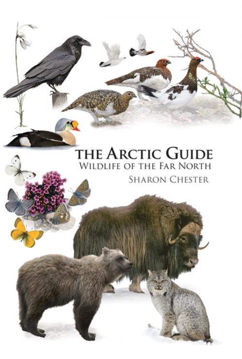 Cover of the book The Arctic Guide by Sharon Chester, Princeton University Press