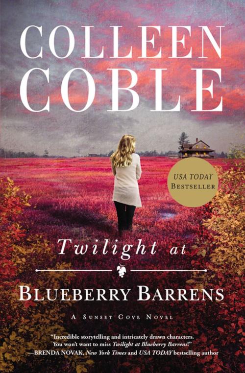 Cover of the book Twilight at Blueberry Barrens by Colleen Coble, Thomas Nelson