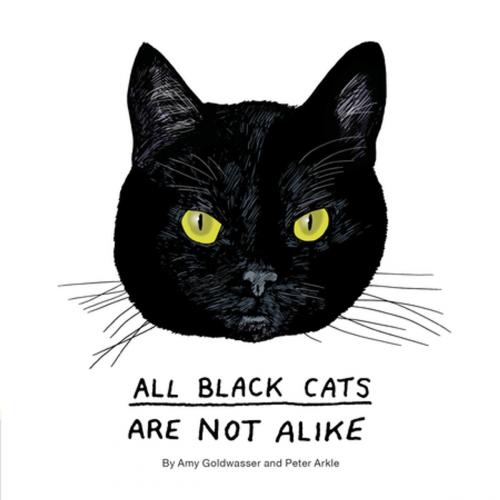 Cover of the book All Black Cats are Not Alike by Amy Goldwasser, Chronicle Books LLC