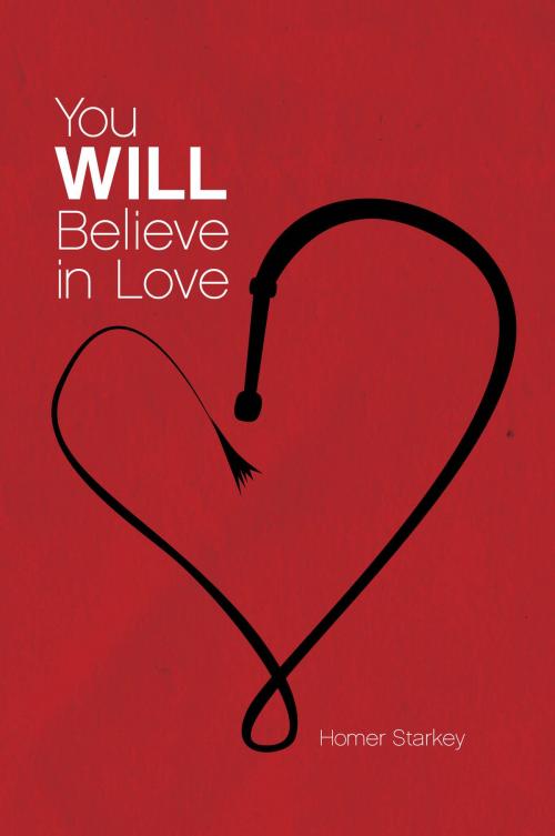 Cover of the book You Will Believe In Love by Homer Starkey, eBookIt.com