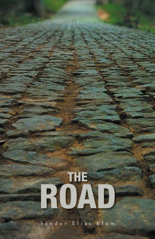 Cover of the book The Road by Sandor Elias Blum, FriesenPress