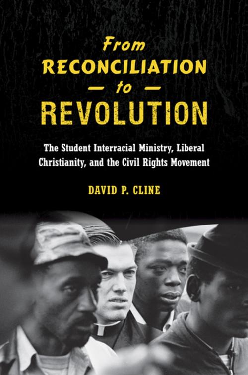 Cover of the book From Reconciliation to Revolution by David P. Cline, The University of North Carolina Press