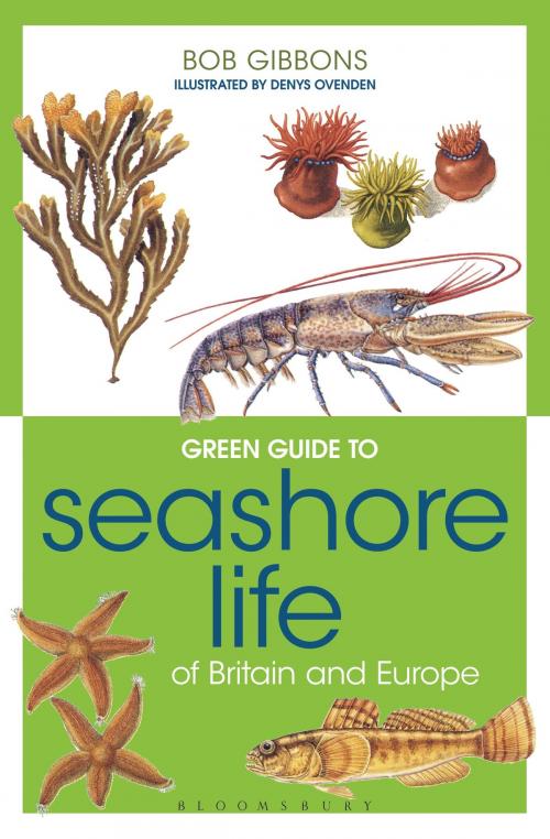 Cover of the book Green Guide to Seashore Life Of Britain And Europe by Bob Gibbons, Bloomsbury Publishing
