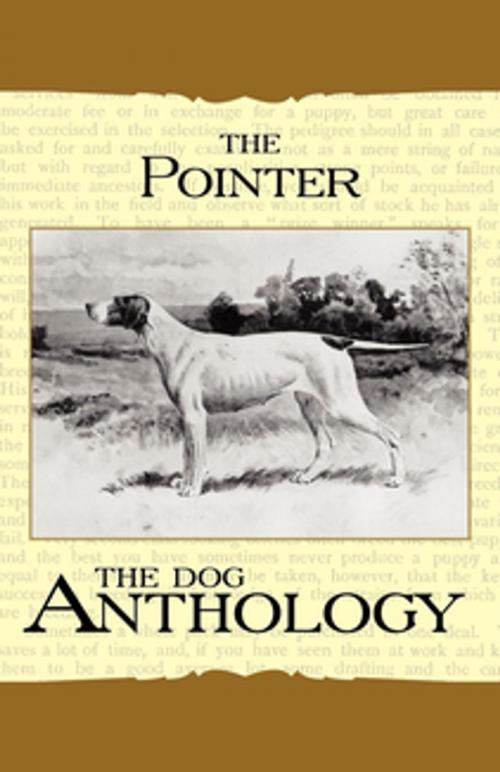 Cover of the book The Pointer - A Dog Anthology (A Vintage Dog Books Breed Classic) by Various, Read Books Ltd.