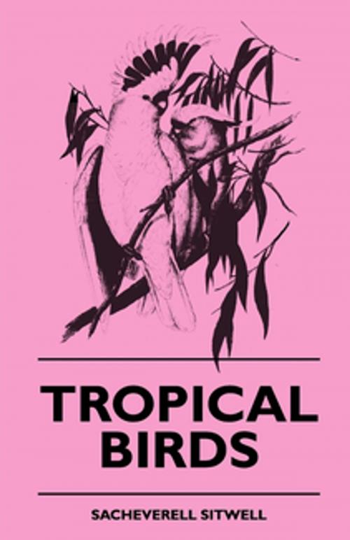 Cover of the book Tropical Birds by Sacheverell Sitwell, Read Books Ltd.