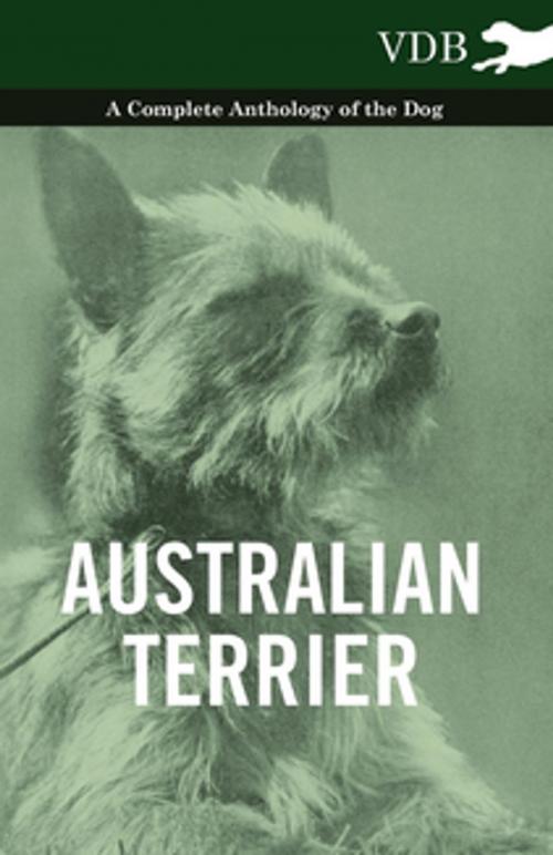 Cover of the book Australian Terrier - A Complete Anthology of the Dog by Various, Read Books Ltd.