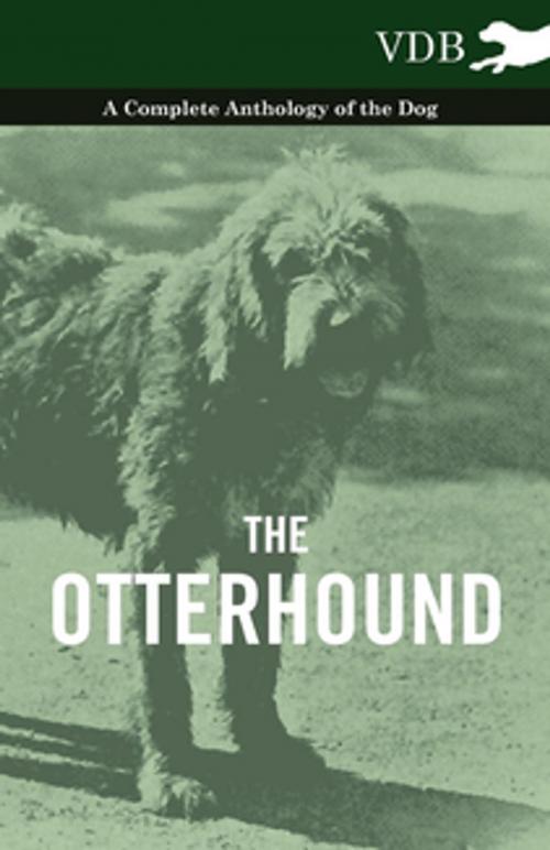 Cover of the book The Otterhound - A Complete Anthology of the Dog by Various, Read Books Ltd.