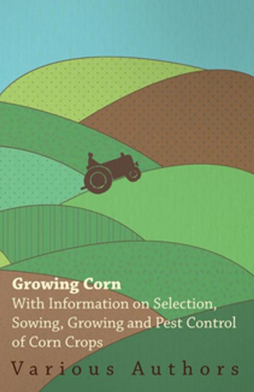 Cover of the book Growing Corn - With Information on Selection, Sowing, Growing and Pest Control of Corn Crops by Various, Read Books Ltd.