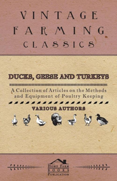 Cover of the book Ducks, Geese and Turkeys - A Collection of Articles on the Methods and Equipment of Poultry Keeping by Various, Read Books Ltd.