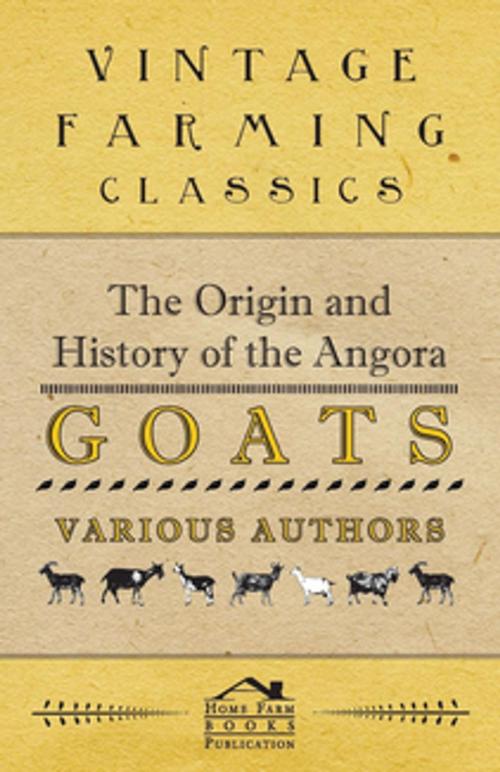Cover of the book The Origin and History of the Angora Goats by Various, Read Books Ltd.