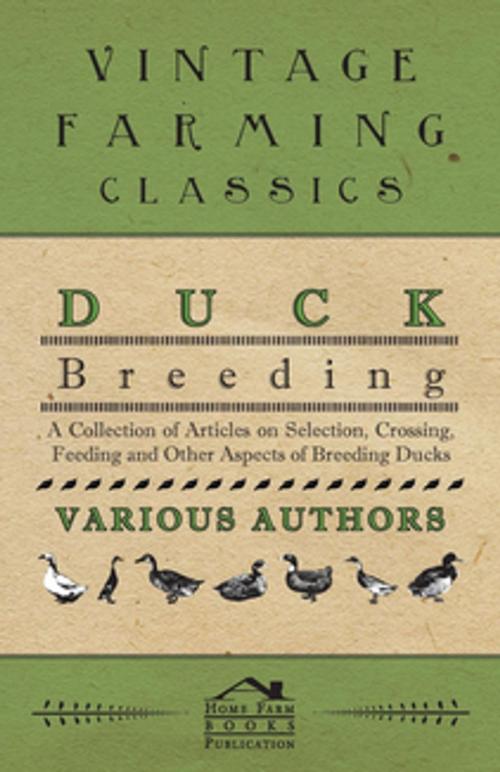 Cover of the book Duck Breeding - A Collection of Articles on Selection, Crossing, Feeding and Other Aspects of Breeding Ducks by Various, Read Books Ltd.