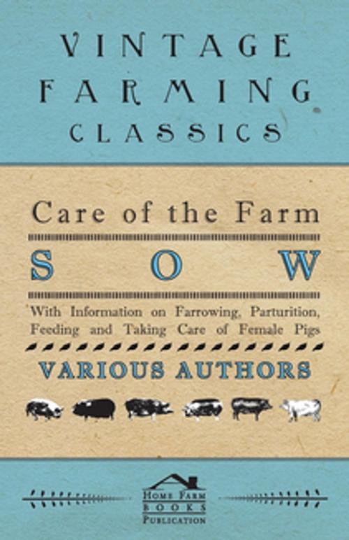 Cover of the book Care of the Farm Sow - With Information on Farrowing, Parturition, Feeding and Taking Care of Female Pigs by Various, Read Books Ltd.