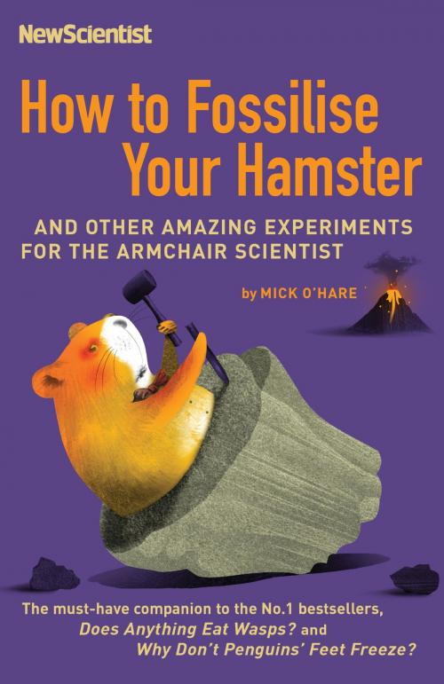 Cover of the book How to Fossilise Your Hamster by New Scientist, John Murray Press