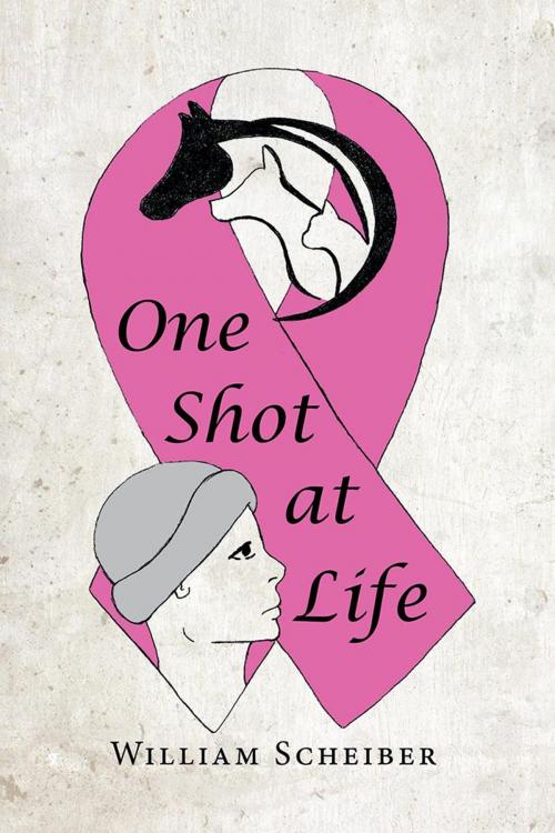 Cover of the book One Shot at Life by William Scheiber, Archway Publishing