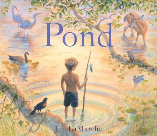 Cover of the book Pond by Jim LaMarche, Simon & Schuster/Paula Wiseman Books