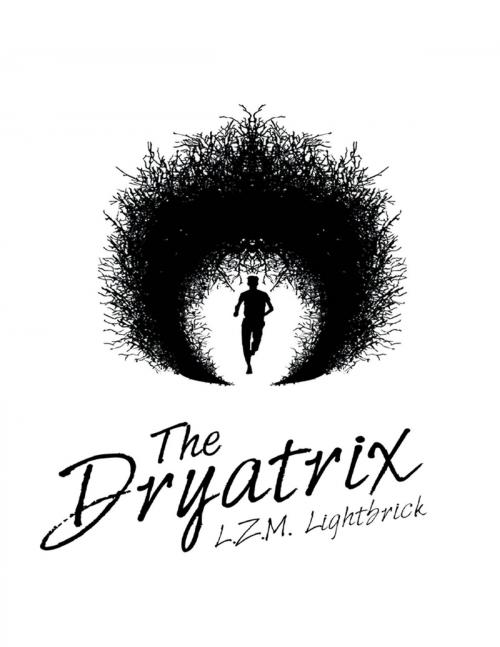 Cover of the book The Dryatrix by L.Z.M. Lightbrick, Lulu Publishing Services