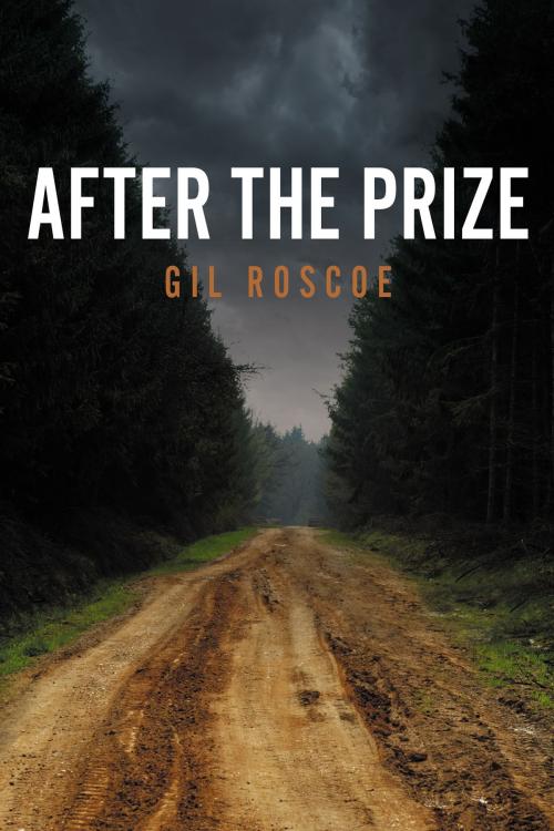 Cover of the book After the Prize by Gil  Roscoe, BookBaby