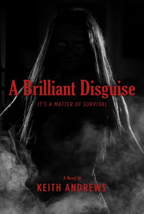 Cover of the book A Brilliant Disguise by Keith Andrews, BookBaby