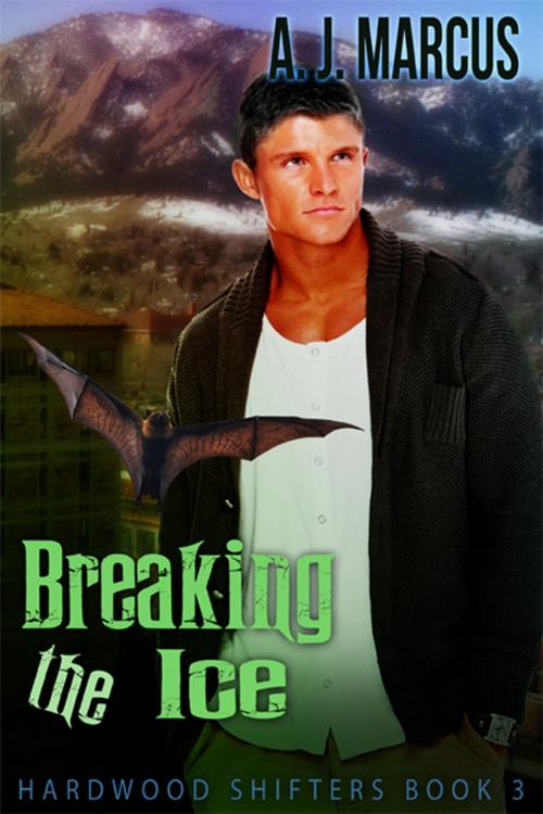Cover of the book Breaking the Ice by A.J. Marcus, eXtasy Books Inc