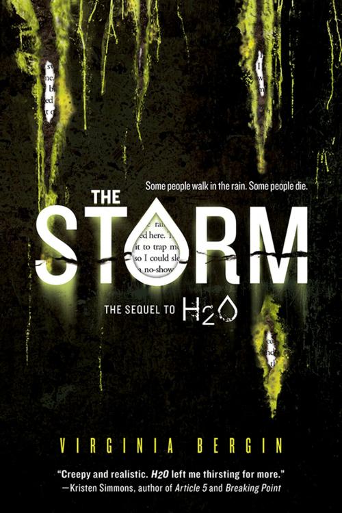 Cover of the book The Storm by Virginia Bergin, Sourcebooks