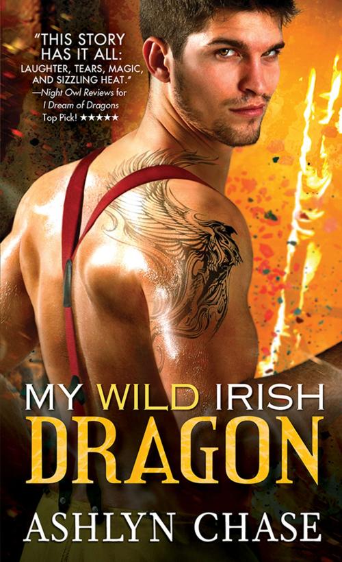 Cover of the book My Wild Irish Dragon by Ashlyn Chase, Sourcebooks