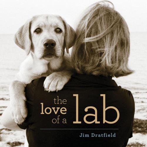 Cover of the book The Love of a Lab by Jim Dratfield, Lyons Press
