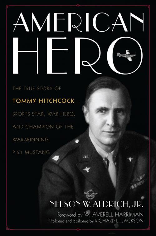 Cover of the book American Hero by Nelson W. Aldrich Jr., Lyons Press