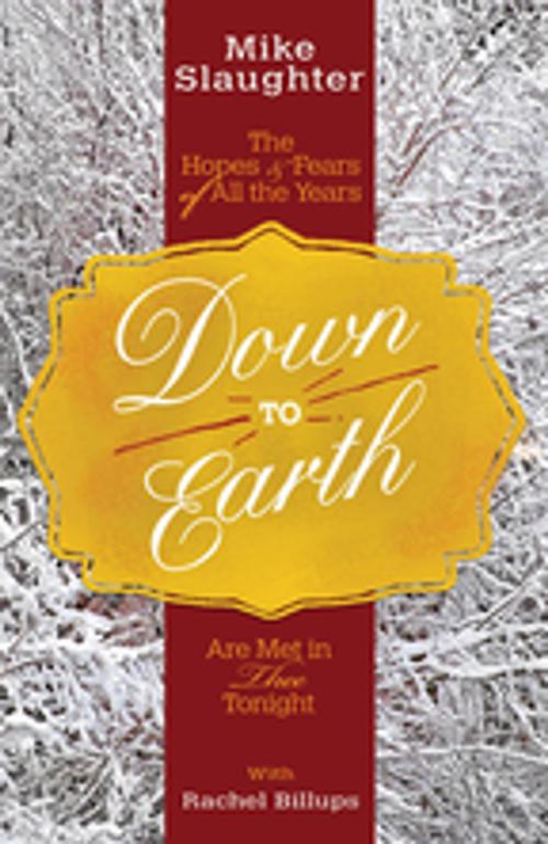 Cover of the book Down to Earth [Large Print] by Mike Slaughter, Rachel Billups, Abingdon Press