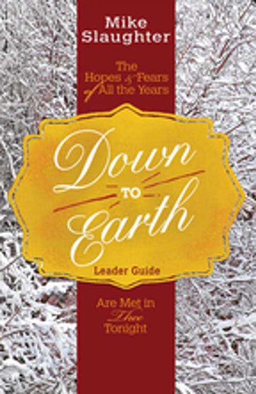 Cover of the book Down to Earth Leader Guide by Mike Slaughter, Rachel Billups, Abingdon Press