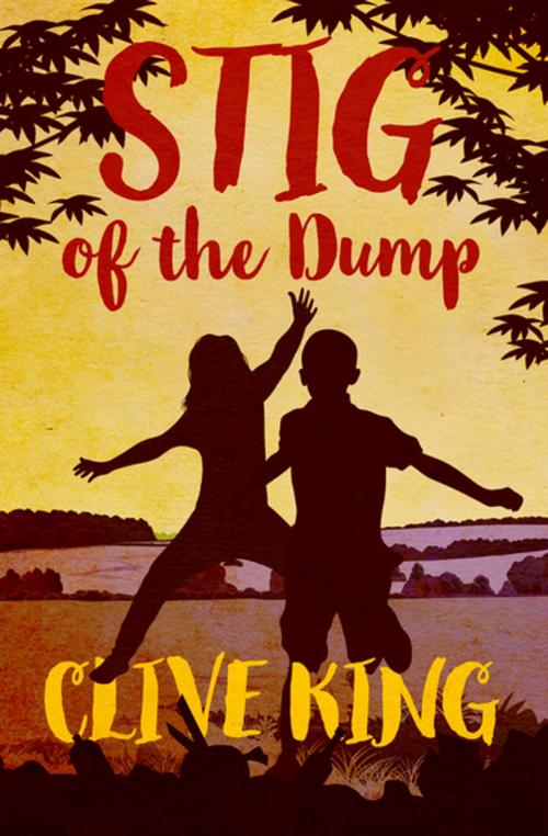 Cover of the book Stig of the Dump by Clive King, Open Road Media