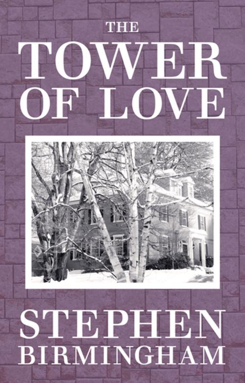 Cover of the book The Towers of Love by Stephen Birmingham, Open Road Distribution