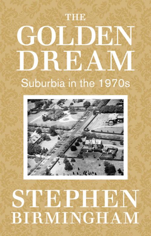 Cover of the book The Golden Dream by Stephen Birmingham, Open Road Distribution