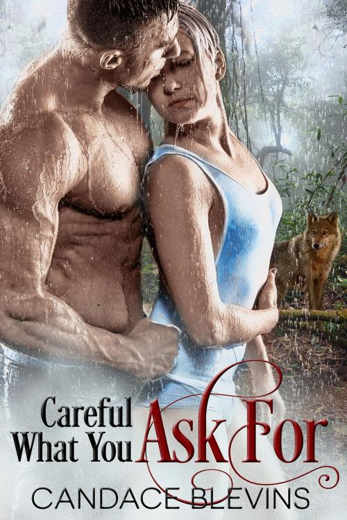 Cover of the book Careful What You Ask For by Candace Blevins, Excessica