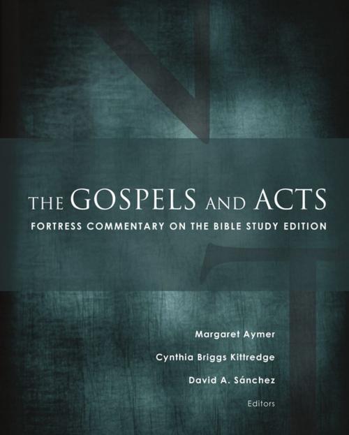 Cover of the book The Gospels and Acts by , Fortress Press