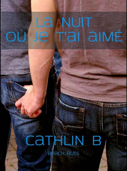 Cover of the book La nuit où je t'ai aimé by Cathlin B, Babelcube Inc.