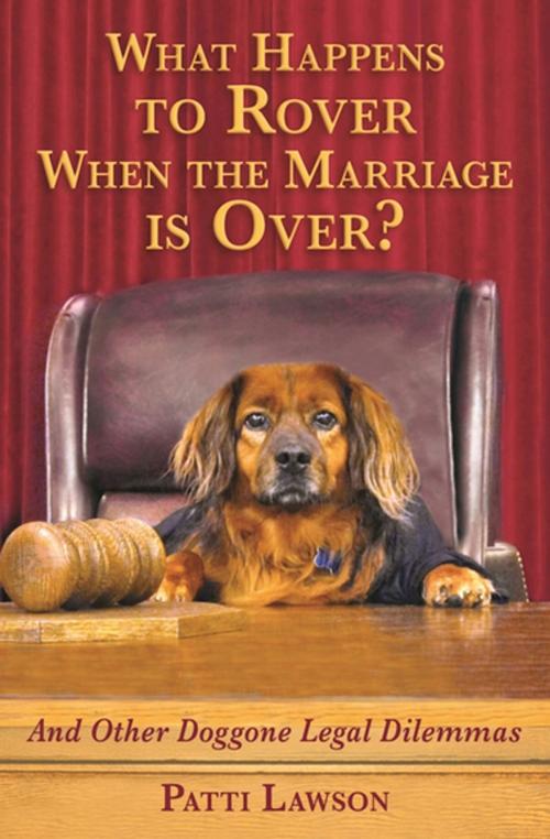 Cover of the book What Happens to Rover When the Marriage Is Over? by Patti Lawson, Skyhorse Publishing