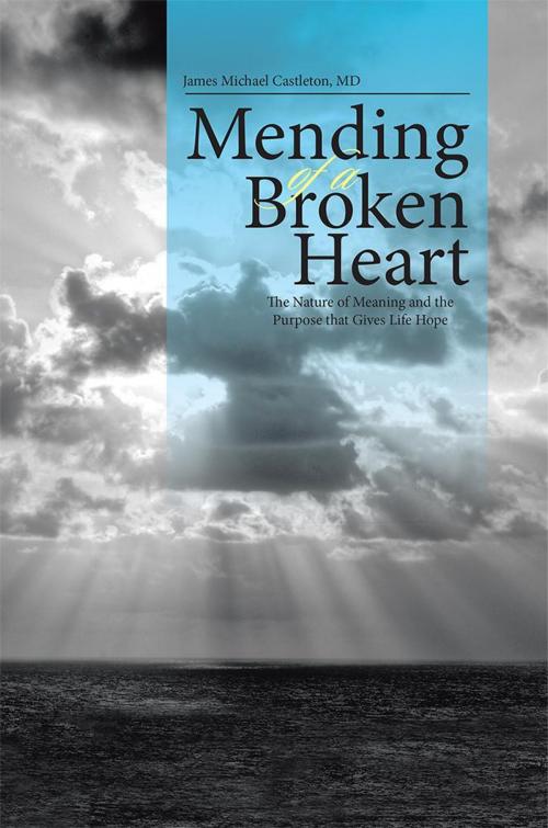 Cover of the book Mending of a Broken Heart by James Michael Castleton, WestBow Press
