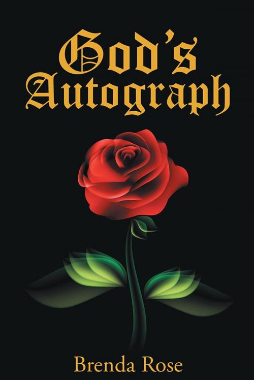 Cover of the book God’S Autograph by Brenda Rose, WestBow Press