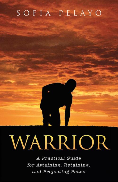 Cover of the book Warrior by Sofia Pelayo, WestBow Press