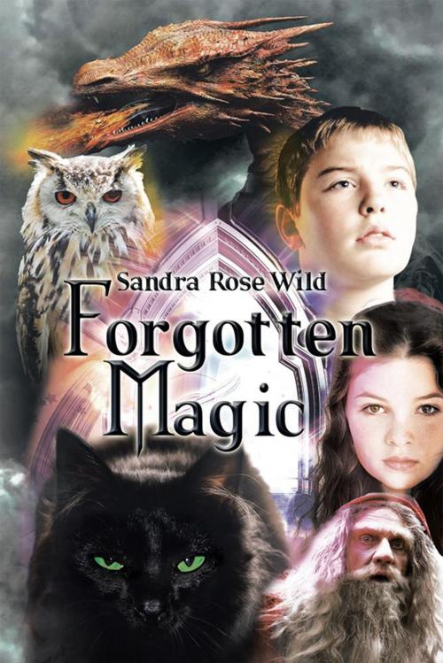 Cover of the book Forgotten Magic by Sandra Rose Wild, Xlibris UK