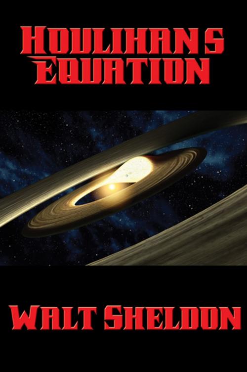 Cover of the book Houlihan’s Equation by Walt Sheldon, Wilder Publications, Inc.