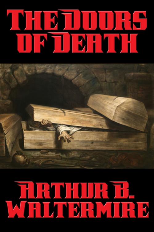 Cover of the book The Doors of Death by Arthur B. Waltermire, Wilder Publications, Inc.