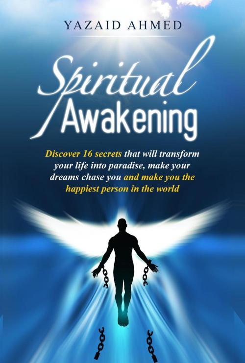 Cover of the book Spiritual Awakening by Yazaid Ahmed, Yazaid Ahmed