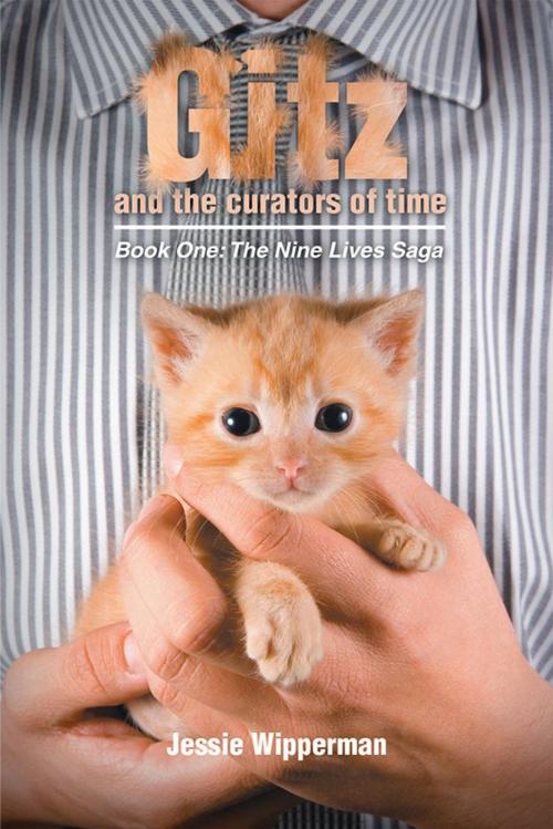 Cover of the book Gitz and the Curators of Time by Jessie Wipperman, Xlibris US