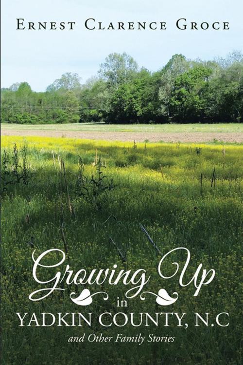 Cover of the book Growing up in Yadkin County, N.C and Other Family Stories by Ernest Clarence Groce, Xlibris US