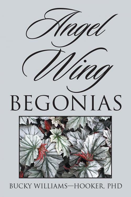 Cover of the book Angel Wing Begonias by Bucky Williams—Hooker PhD, Xlibris US